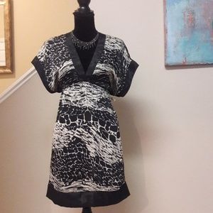Miuse/ Satiny/ Print/ Tunic/ Dress